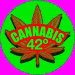 Logo Cannabis 42°