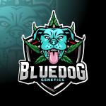 Logo Bluedog Genetics