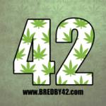 Logo Bred by 42