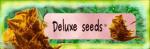 Logo Deluxe Seeds