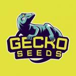 Logo Gecko Seeds