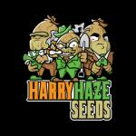 Logo Harry Haze Seeds