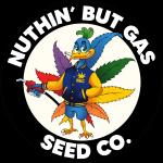 Logo NBG Seed Co.