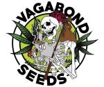 Logo Vagabond Seeds