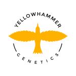 Logo Yellowhammer Genetics
