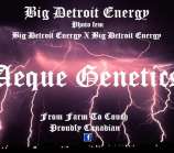 Aeque Genetics Big Detroit Energy