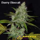Ananda Seeds Berry Biscuit