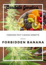 Annibale Genetics Forbidden Banana