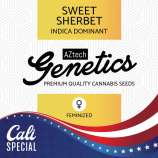 Aztech Genetics Sweet Sherbet