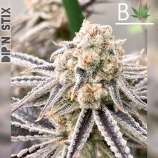 Beleaf Cannabis Dip N Stix