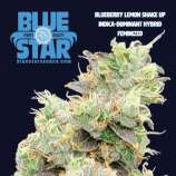 Blue Star Seed Co Blueberry Lemon Shake-Up