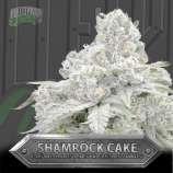 Bulletproof Genetics Shamrock Cake