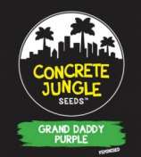 Concrete Jungle Seeds Grand Daddy Purple