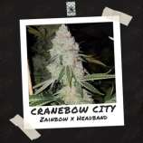 Crane City Cannabis Cranebow City