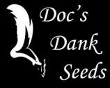 Doc's Dank Seeds Silver Blaze