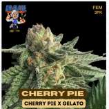 Dr. Blaze Cherry Pie
