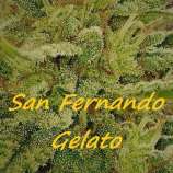 Dr. Underground San Fernando Gelato