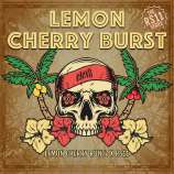 Elev8 Seeds Lemon Cherry Burst