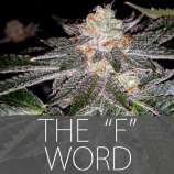 Exclusive Seeds The F Word