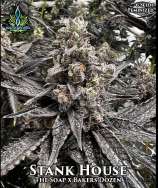 Exotic Genetix Stank House
