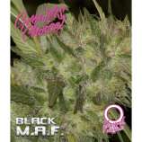 Growers Choice Black M.A.F.