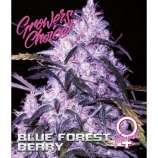 Growers Choice Blue Forrest Berry