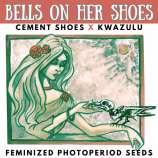 Happy Bird Seeds Bells On Her Shoes