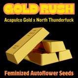 Happy Bird Seeds Gold Rush