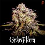 Jardala Seeds Gran Flora