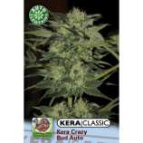 Kera Seeds Crazy Bud Auto