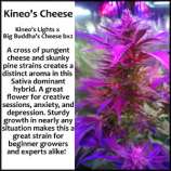 Kineos Genetics Kineo's Cheese