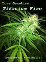 Love Genetics Titanium Fire