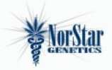 NorStar Genetics Harlequin