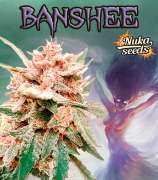 Nuka Seeds Banshee
