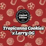 Philosopher Seeds Tropicanna Cookies x Larry OG
