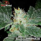 RedEyed Genetics Hawkeye