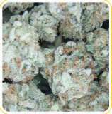 Reefermans Seeds CBD China White