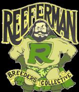 Reefermans Seeds Love potion #2