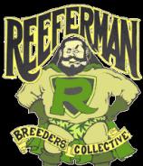 Reefermans Seeds Senor Garcia