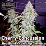 Relentless Genetics Cherry Concussion