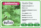 Royal Queen Seeds Quick One