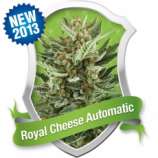 Royal Queen Seeds Royal Cheese Automatic