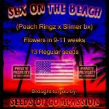 Seeds of Compassion Sex on the Beach