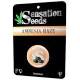 Sensation Seeds Amnesia Haze