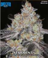 Sin City Seeds Starmints