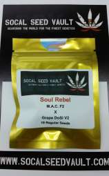 Socal Seed Vault Soul Rebel