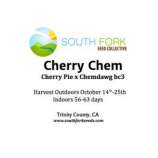 South Fork Seed Collective Cherry Chem