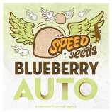 Speed Seeds Blueberry Auto