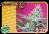 Sweet Seeds Sweet Cheese Auto