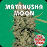 The Moon Seeds Matanuska Moon